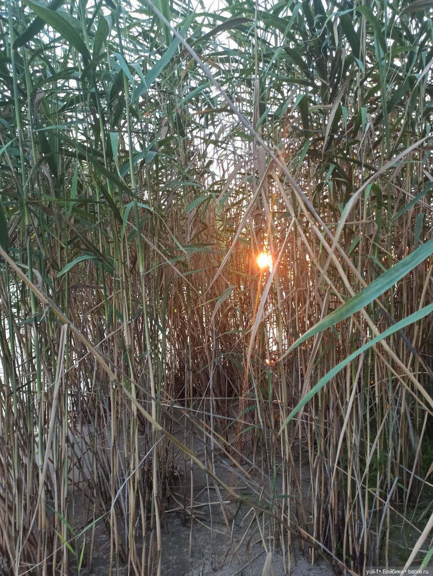 Летние закаты — Куклы Berjuan (Бержуан): Биггерсы (Biggers)