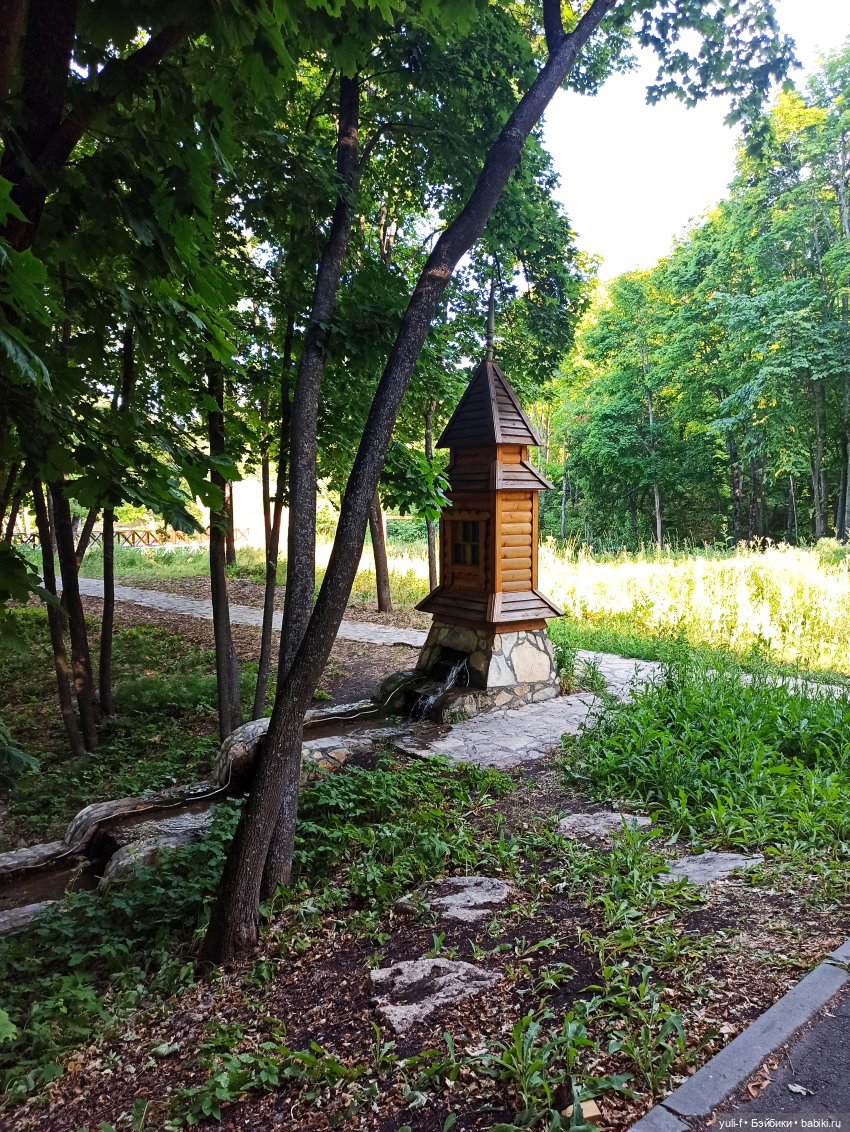 В краю сосен, меловых гор и ... водопадов (фото 5)