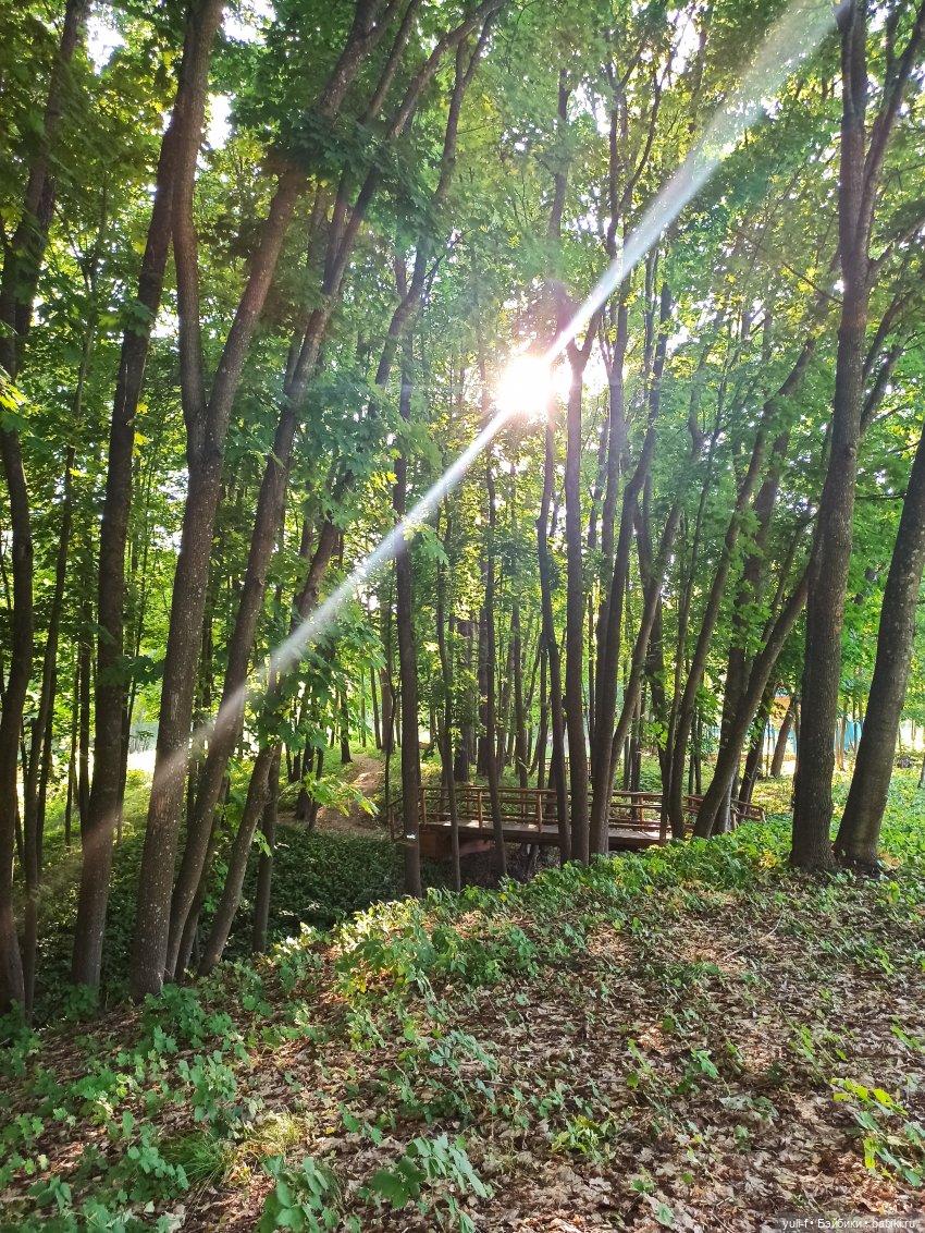 В краю сосен, меловых гор и ... водопадов (фото 4)