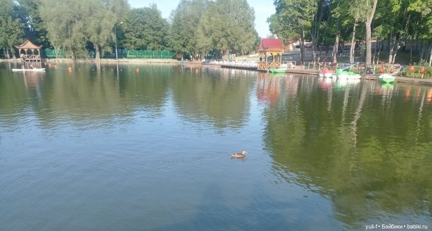 В краю сосен, меловых гор и ... водопадов (фото 6)