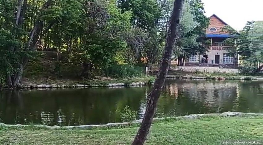 В краю сосен, меловых гор и ... водопадов (фото 8)