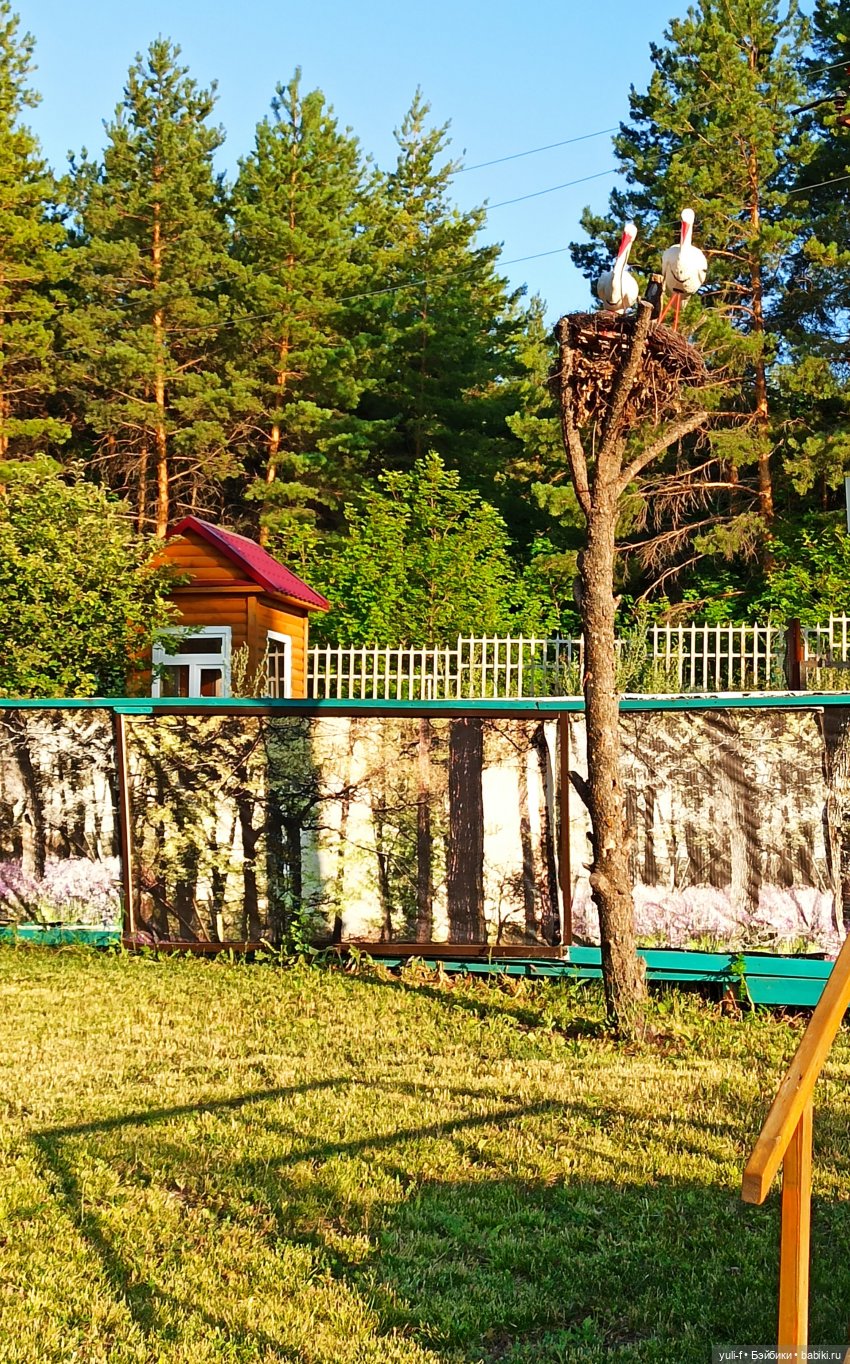 В краю сосен, меловых гор и ... водопадов