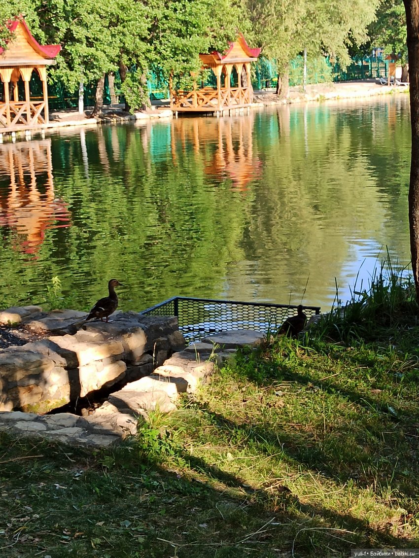 В краю сосен, меловых гор и ... водопадов