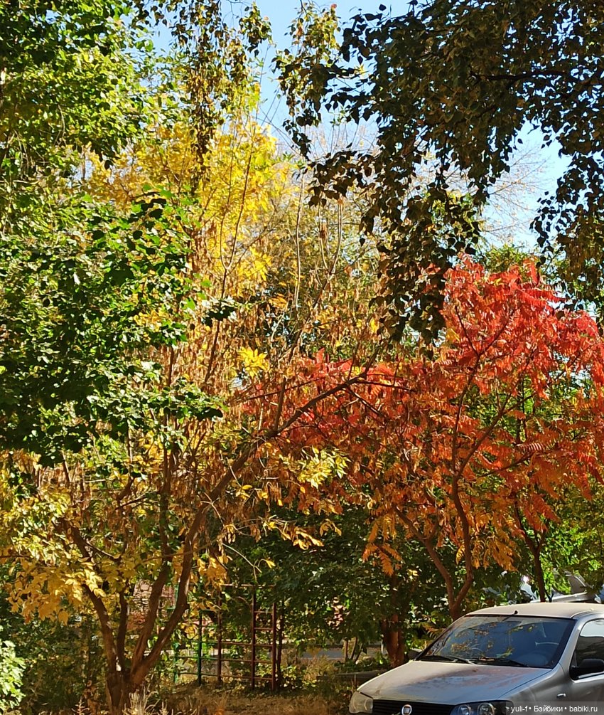 Рассказ о серьёзной девочке Кэт