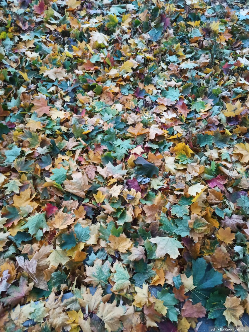 Рассказ о серьёзной девочке Кэт