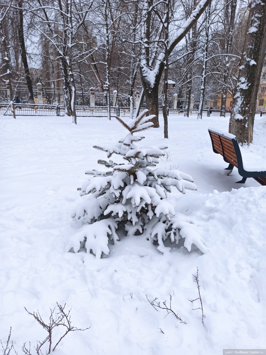 Целый день шел снежок, чудо как хорошо (фото 8)