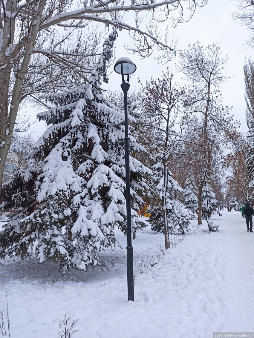 Целый день шел снежок, чудо как хорошо (фото 10)