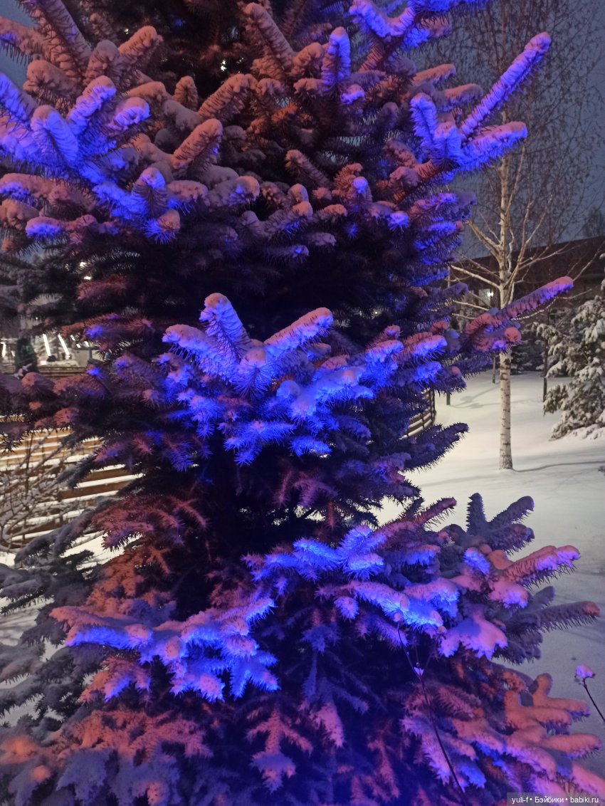 Целый день шел снежок, чудо как хорошо