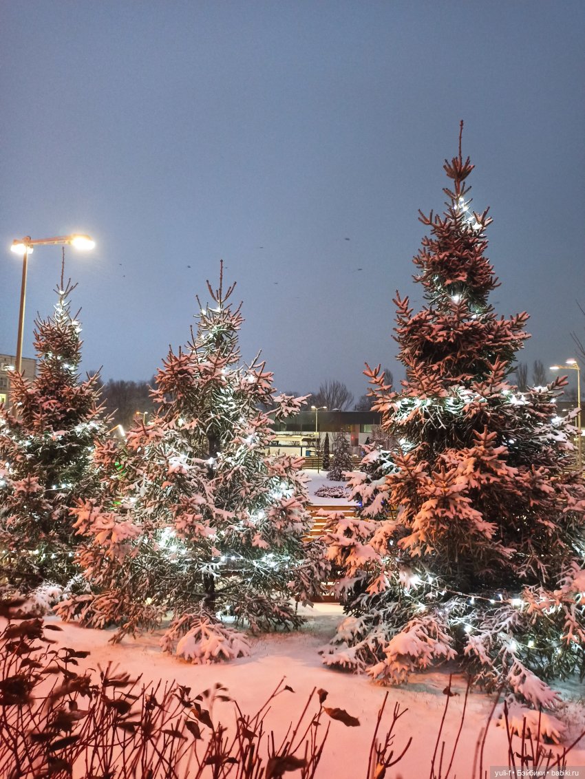 Целый день шел снежок, чудо как хорошо