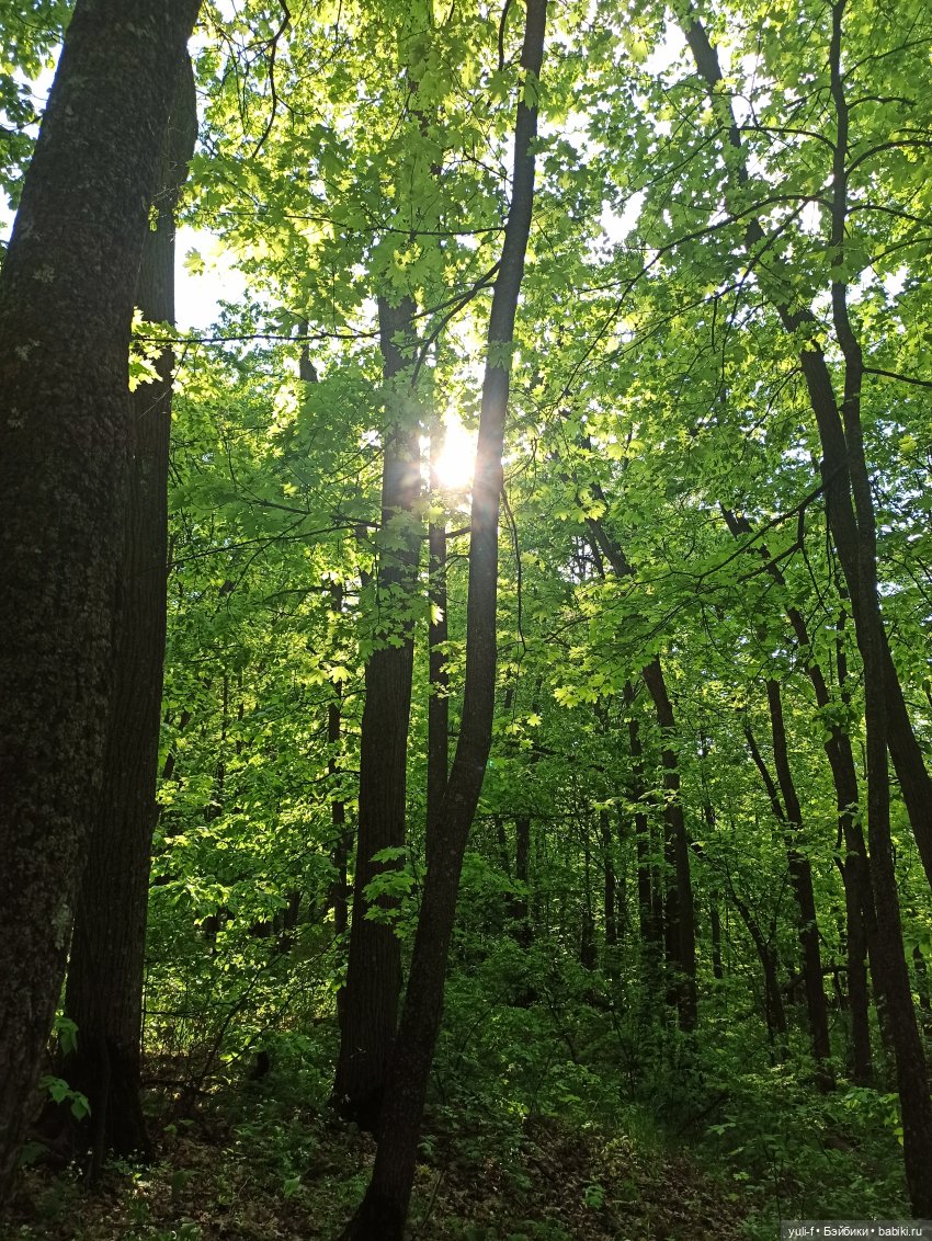 Сказ о том, как Сергей на охоту ходил (фото 3)