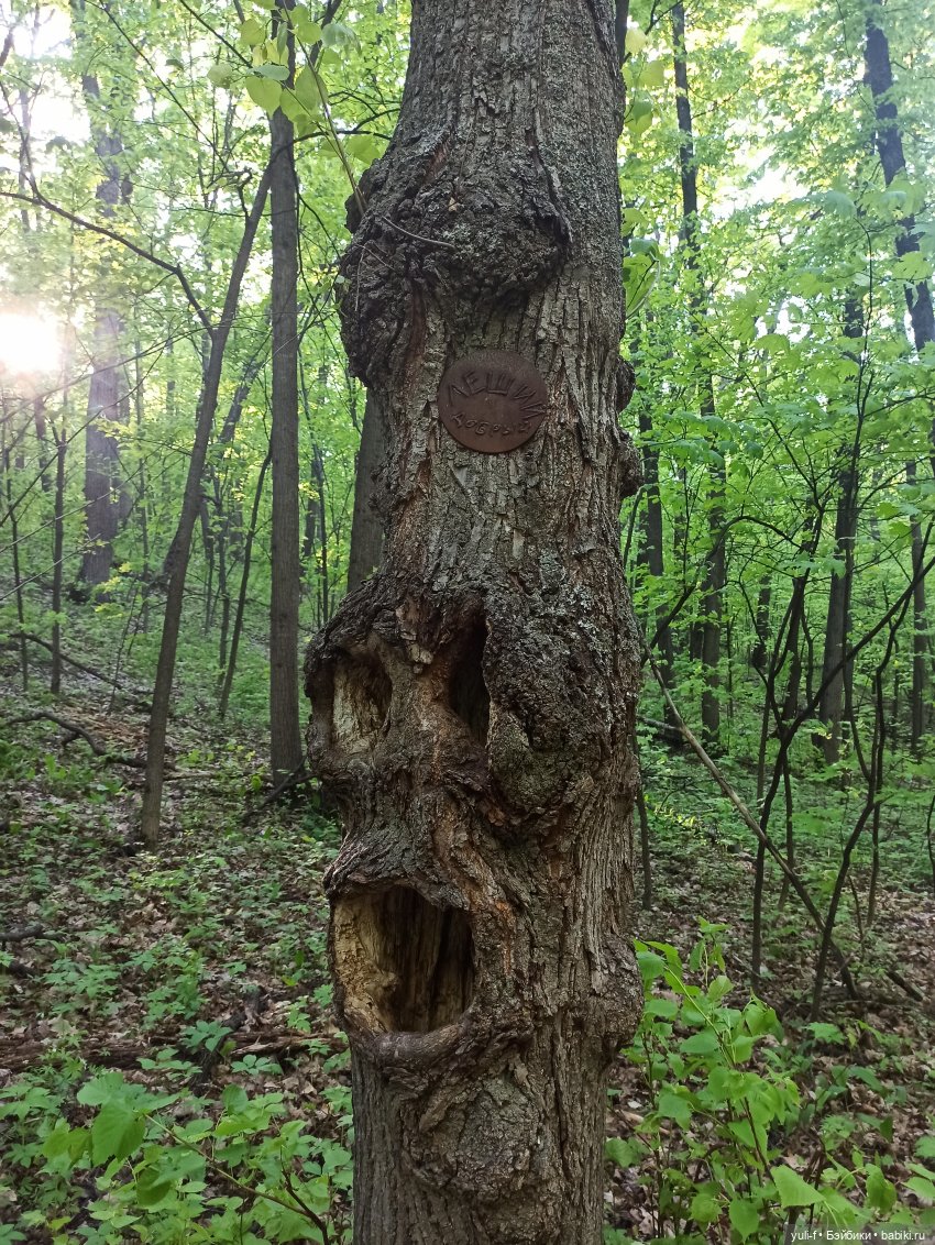 Сказ о том, как Сергей на охоту ходил