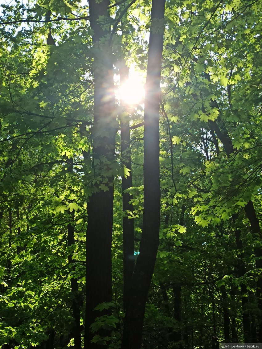 Сказ о том, как Сергей на охоту ходил