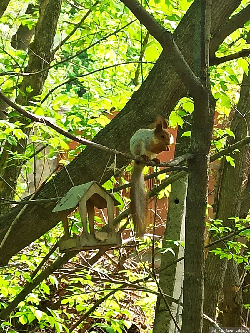 Сказ о том, как Сергей на охоту ходил (фото 4)
