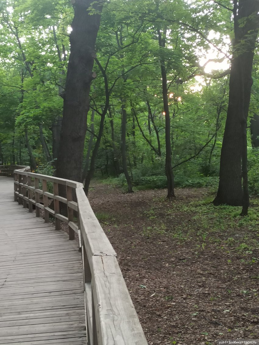 На пруду — Куклы Only Hearts Club (Хартсинки): мягконабивные