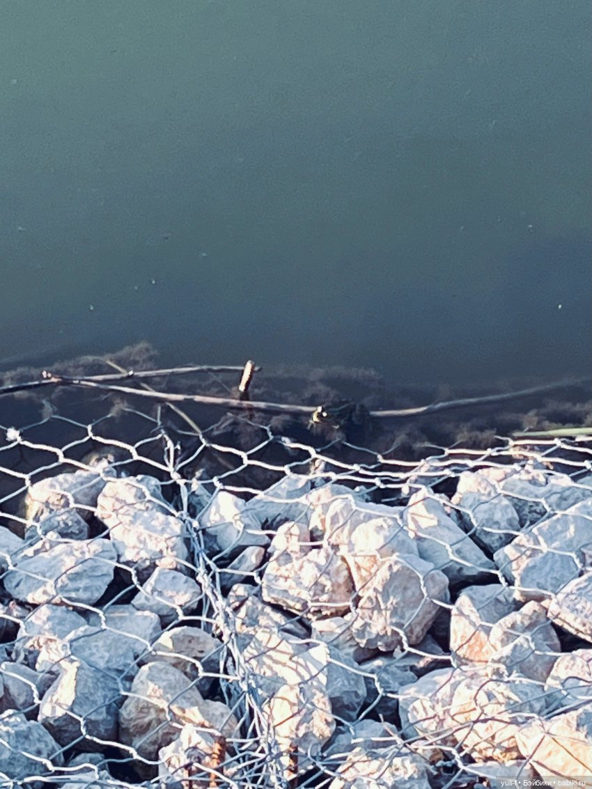 На пруду — Куклы Only Hearts Club (Хартсинки): мягконабивные (фото 3)