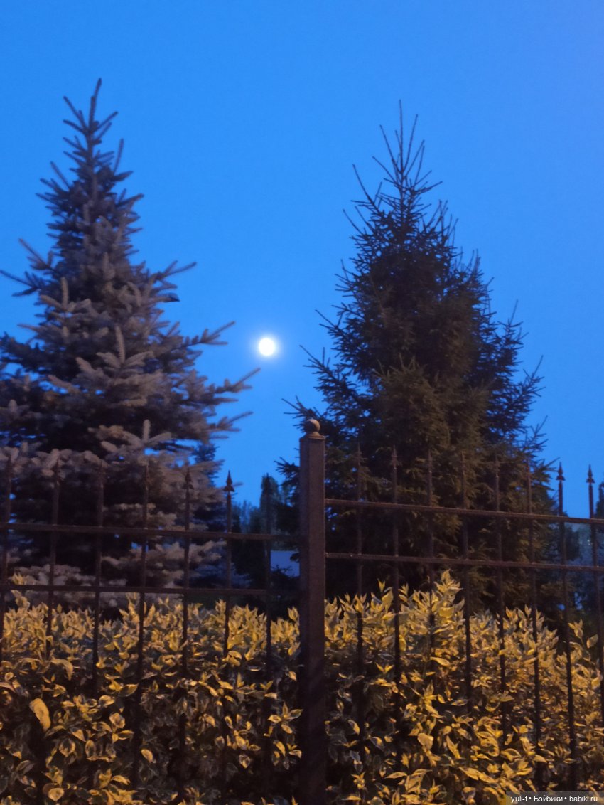 На пруду — Куклы Only Hearts Club (Хартсинки): мягконабивные