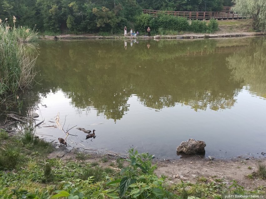 На пруду — Куклы Only Hearts Club (Хартсинки): мягконабивные (фото 9)