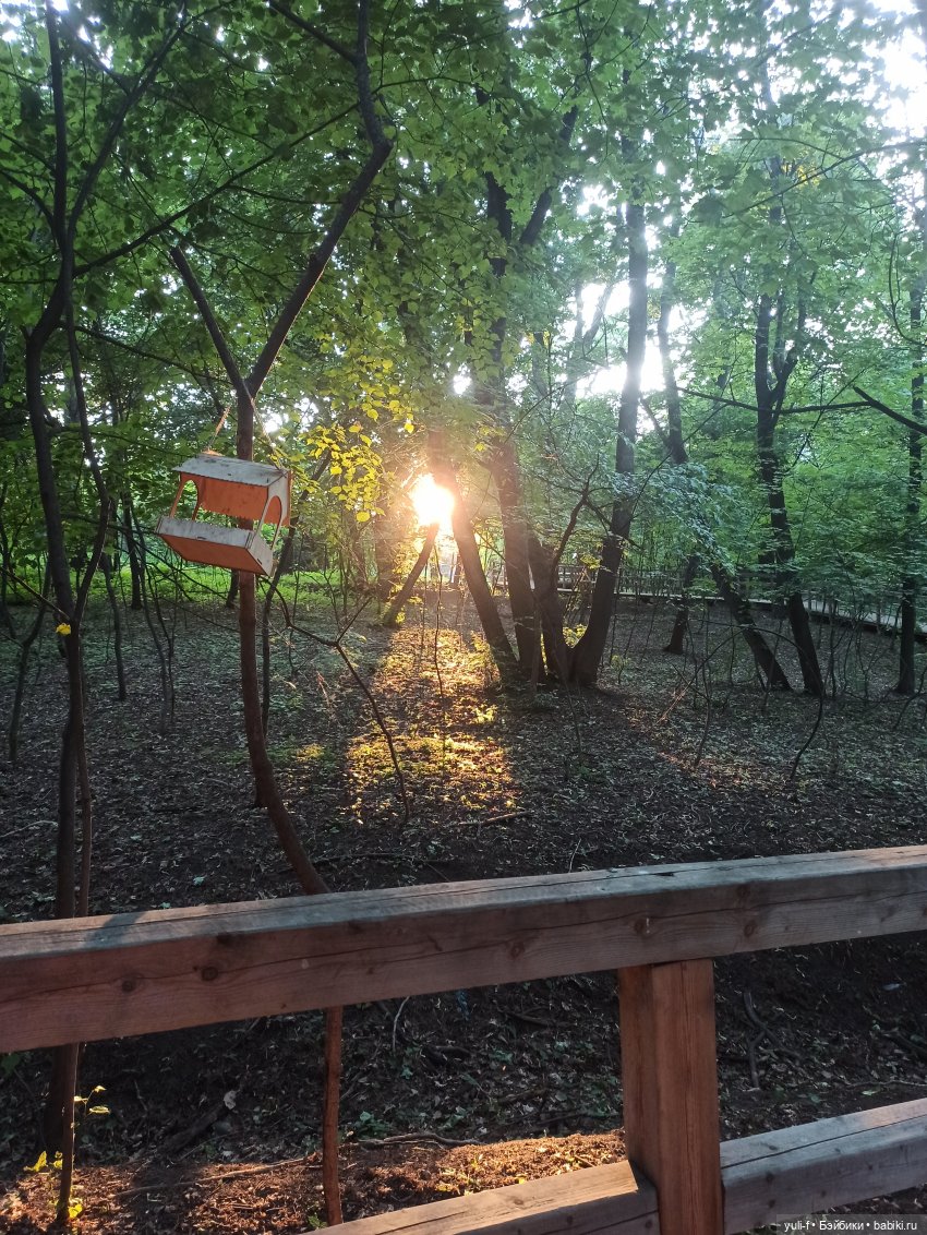 На пруду — Куклы Only Hearts Club (Хартсинки): мягконабивные