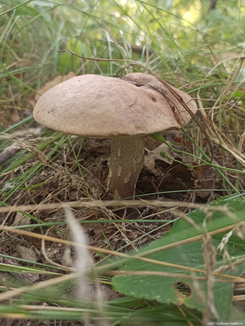 Путевые заметки маленькой туристки. Часть 3 (фото 2)