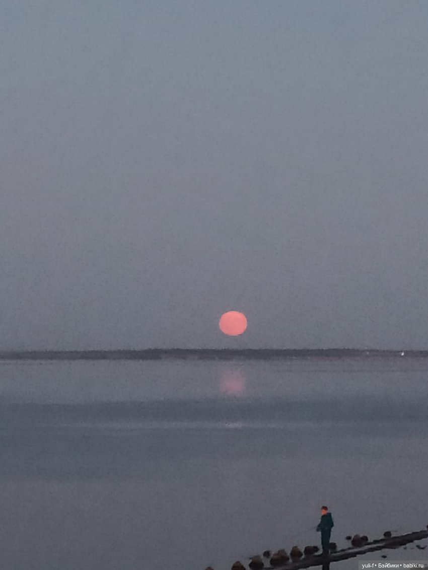 По ночному городу — Куклы Only Hearts Club (Хартсинки): мягконабивные