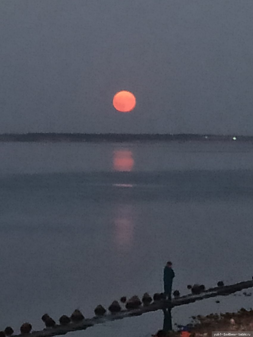 По ночному городу — Куклы Only Hearts Club (Хартсинки): мягконабивные