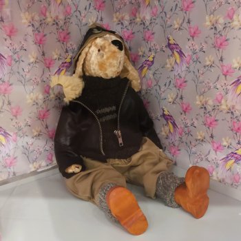 "Кто куды, а мы — к зайцам!" ©