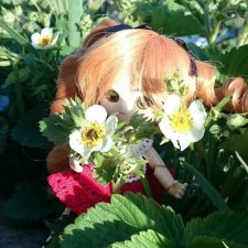 Знакомьтесь: Эцуко Обитсу