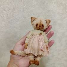 Кошечка тедди.
