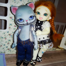 Новый житель мой