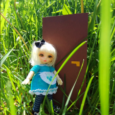 А может и у вас в траве есть такие двери