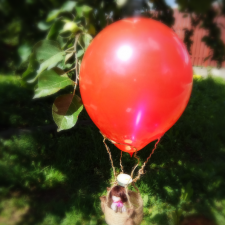 На большом, воздушном шаре!! Realpuki. 42 часть