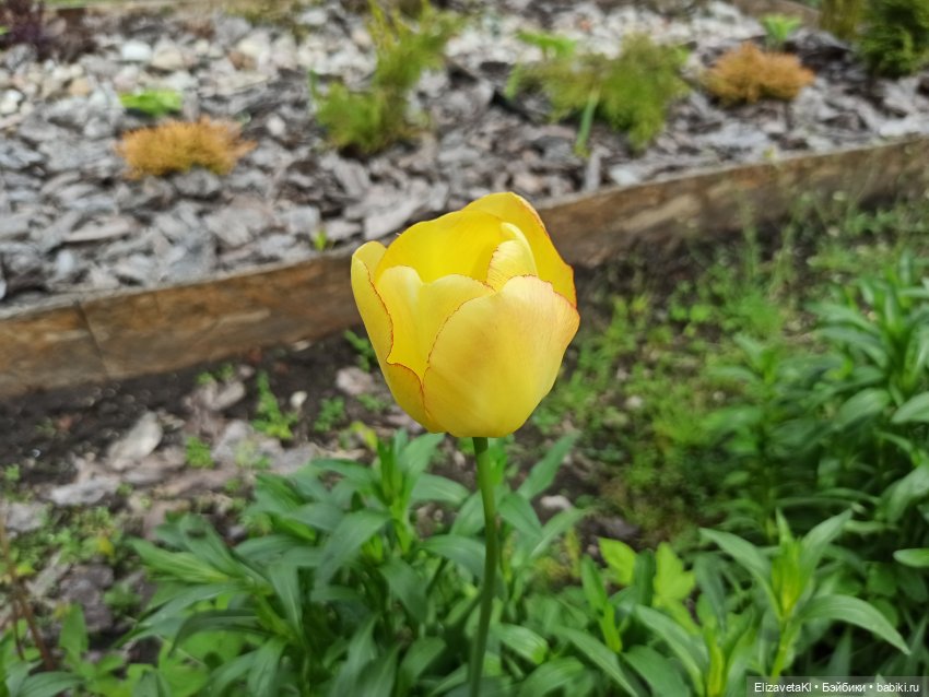 Много квартирный дом. Realpuki. 91 часть