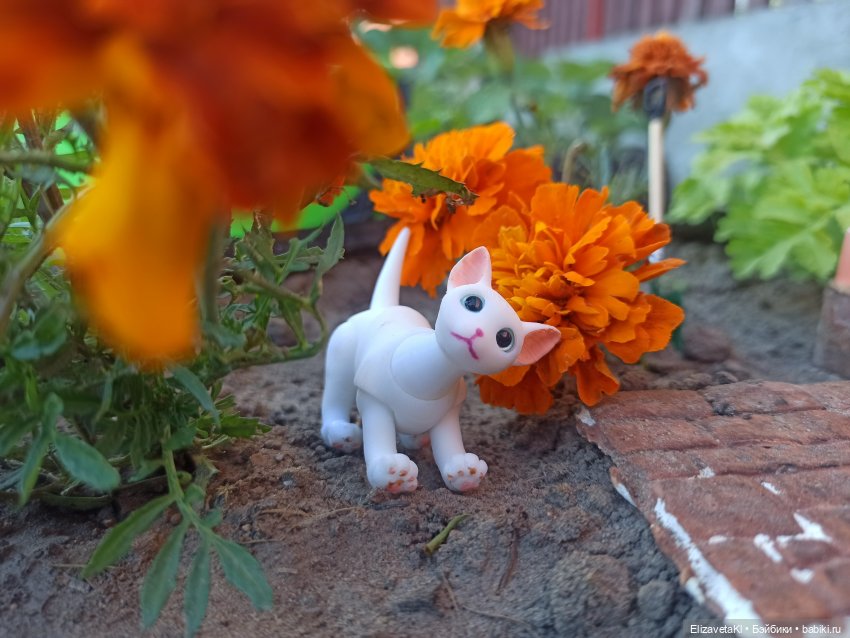 Поход за клубникой. Realpuki. 93 часть