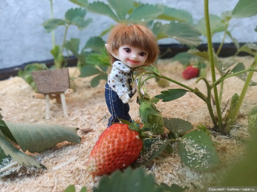 Поход за клубникой. Realpuki. 93 часть (фото 6)