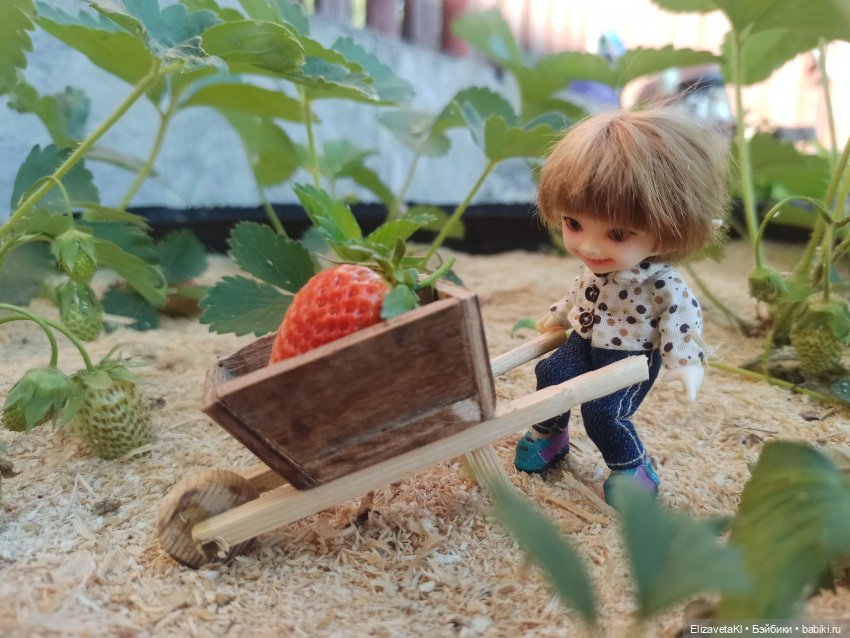 Поход за клубникой. Realpuki. 93 часть (фото 8)