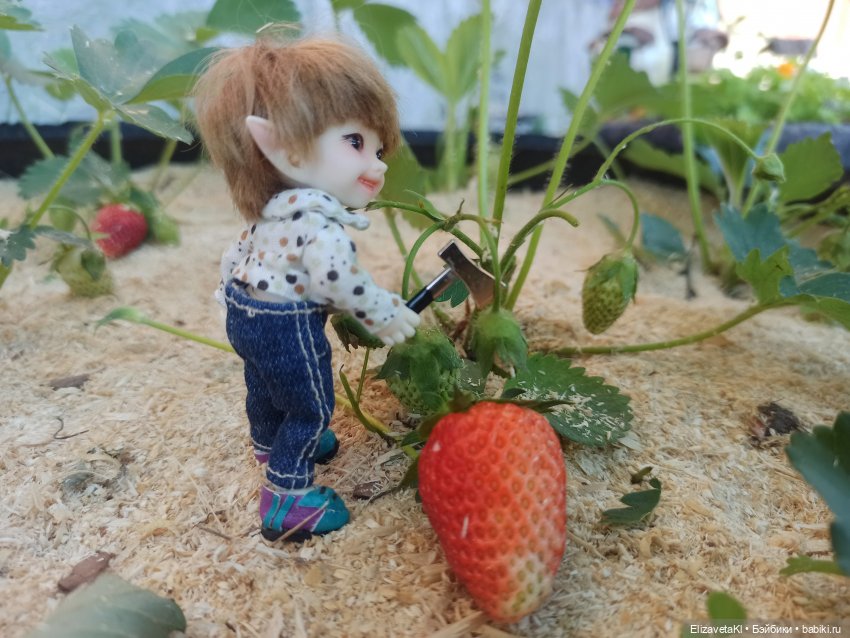 Поход за клубникой. Realpuki. 93 часть (фото 7)