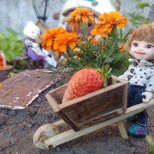 Поход за клубникой. Realpuki. 93 часть