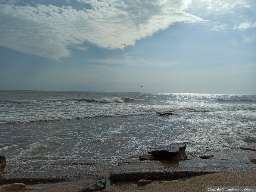 Поездка домой. Realpuki. 108 часть (фото 2)