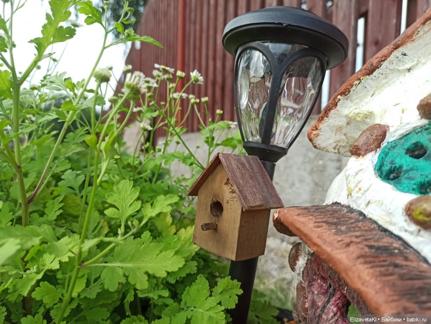 Осень. Realpuki. 109 часть (фото 8)