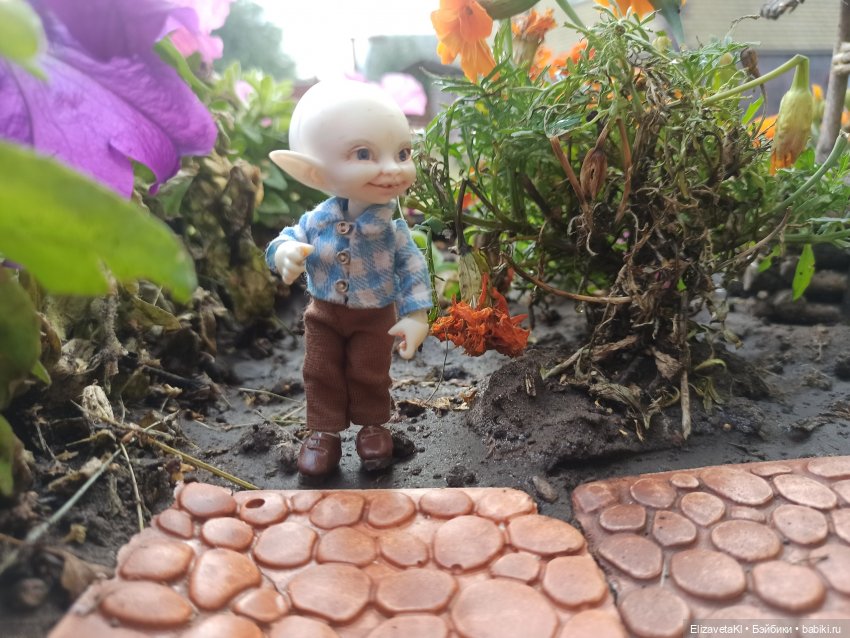 Осень. Realpuki. 109 часть (фото 6)