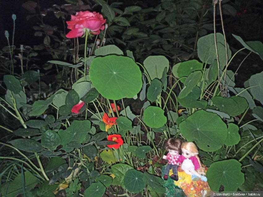 Асоль и Жучок. Realpuki. 110 часть