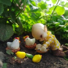 Курятник. Realpuki. 130