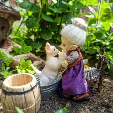 Мытье кота. Realpuki. 133