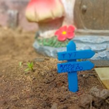 Кто-кто по дорожка идет? Realpuki. 160