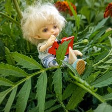 Потеряшка. Realpuki. 172