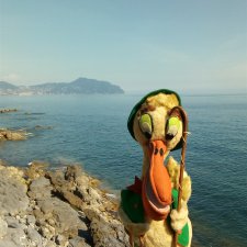 Пеликан MAGAV