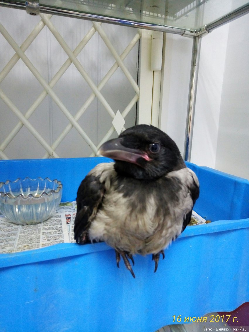 Живой уголок в зооцентре — В мире животных: смешные фото питомцев и зверей (фото 4)