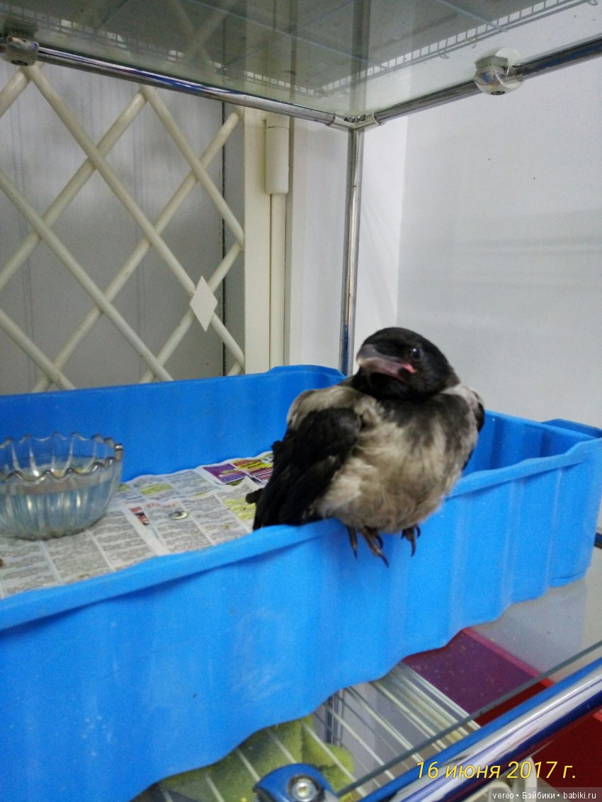 Живой уголок в зооцентре — В мире животных: смешные фото питомцев и зверей (фото 3)