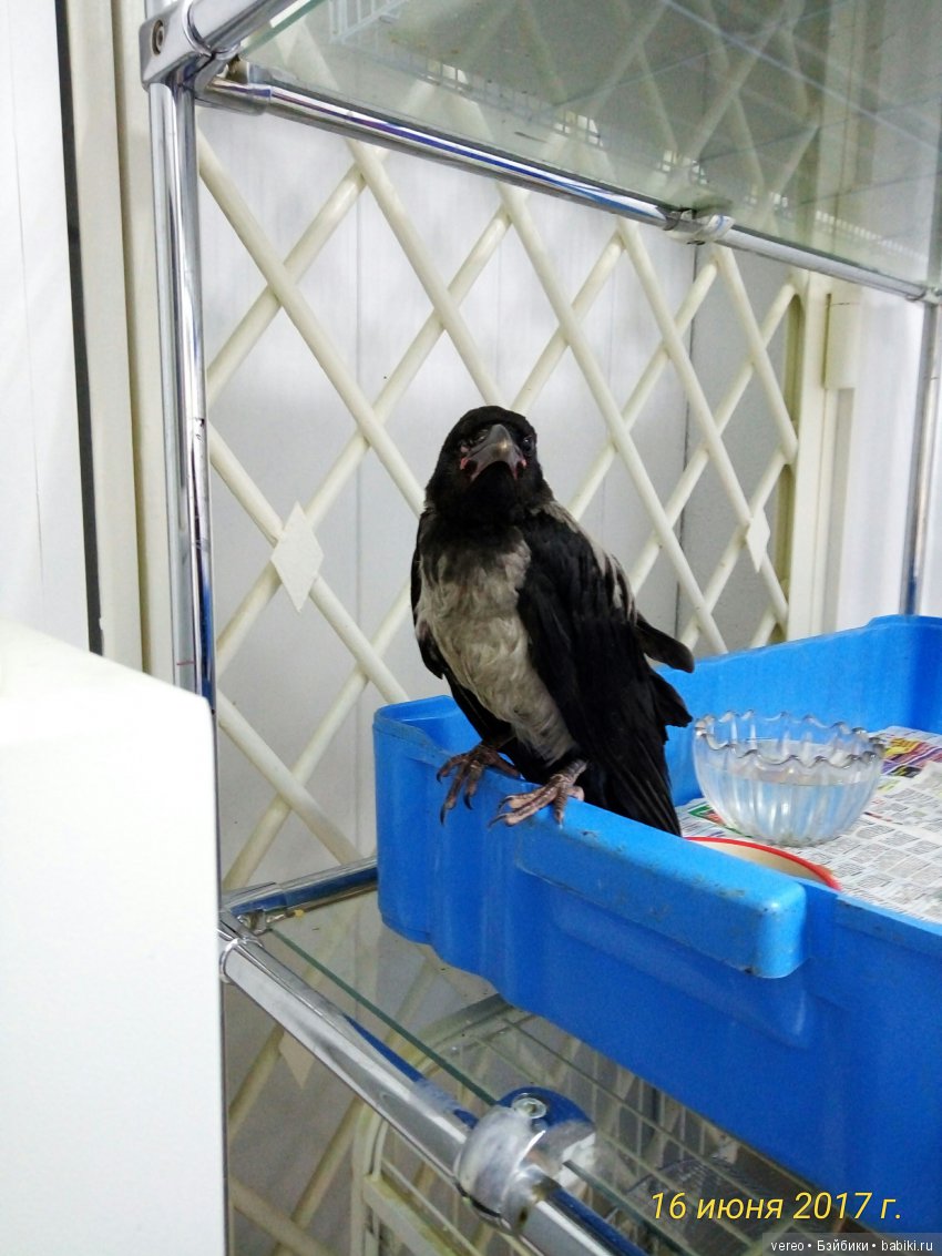 Живой уголок в зооцентре — В мире животных: смешные фото питомцев и зверей (фото 2)