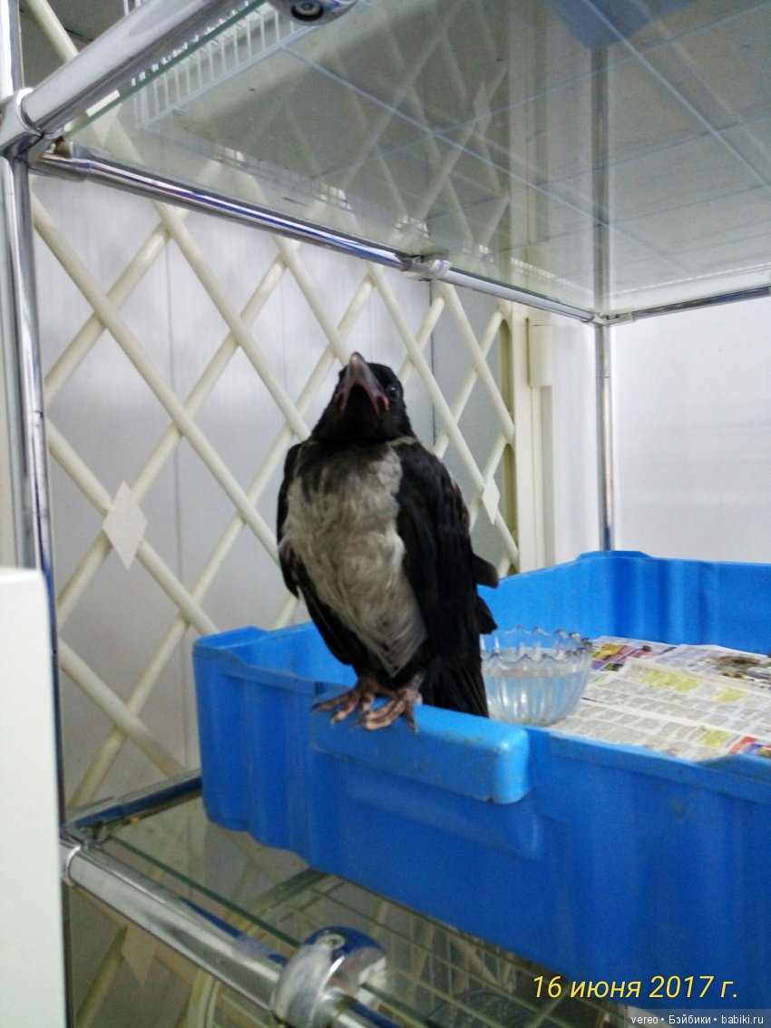 Живой уголок в зооцентре — В мире животных: смешные фото питомцев и зверей